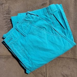 Men's Express aqua blue shorts size 28